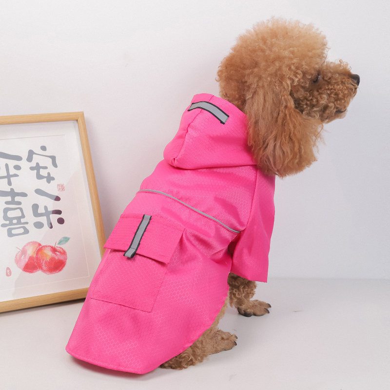 Small dog wearing a pink hooded raincoat with reflective details