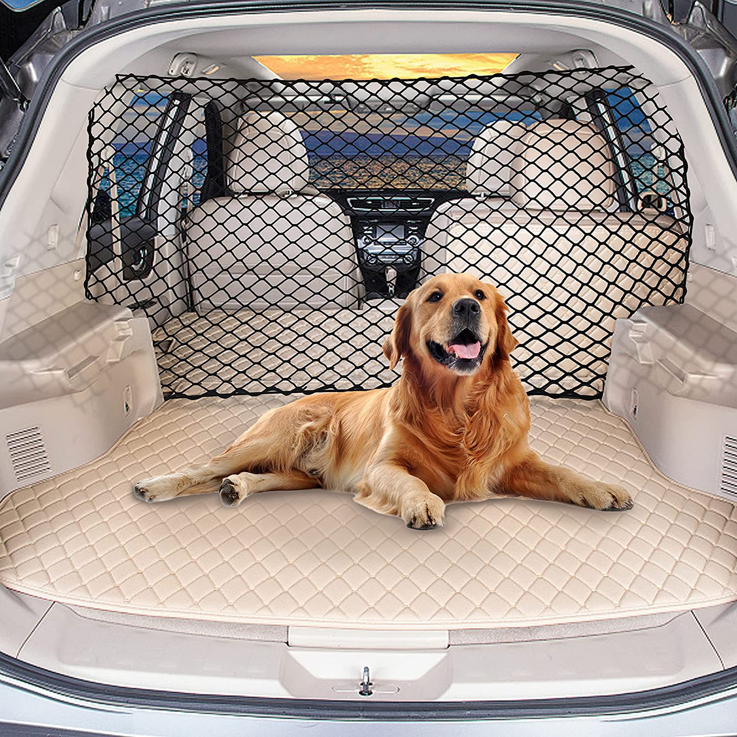 Black divider net installed between a vehicle cargo area and rear seats